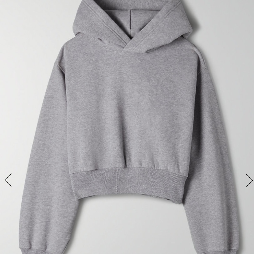 Aritzia Tna CozyAF Perfect Shrunken Hoodie in Heather Dover Grey